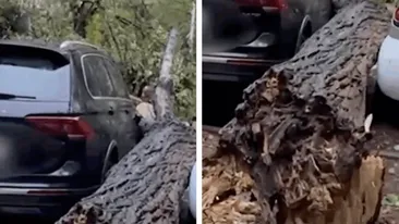 Capitala, lovită de ciclon! E cod roșu de potop în Oltenia