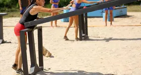 Galerie foto - poza 4