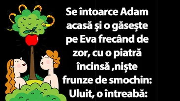 BANC | Se întoarce Adam acasă și o găsește pe Eva frecând de zor, cu o piatră încinsă, niște frunze de smochin