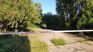 Imagini șocante în parcul IOR din Capitală! Un bărbat a fost găsit spânzurat. FOTO