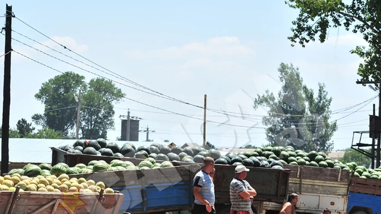 Batausul care a ucis din placere si-a facut geamantan cadavrul victimei