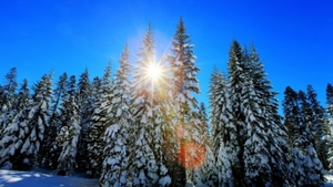 Meteo 30 ianuarie.Vor fi 13 grade, dar...