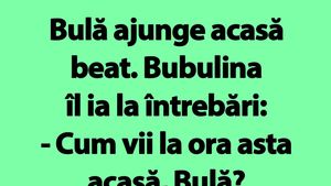 BANC | Bulă ajunge acasă beat. Bubulina îl ia la întrebări