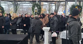 Galerie foto - poza 3