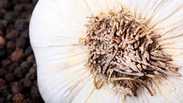 VIDEO Ultima delicatesa: dulceata de usturoi!