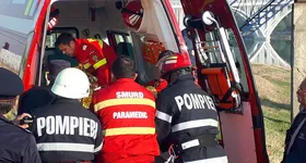 Galerie foto - poza 1