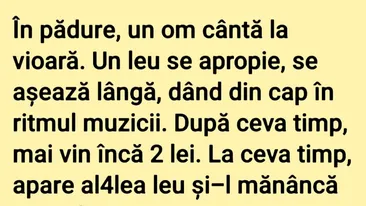 BANCUL ZILEI | Violonistul din pădure