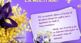 Galerie foto - poza 4