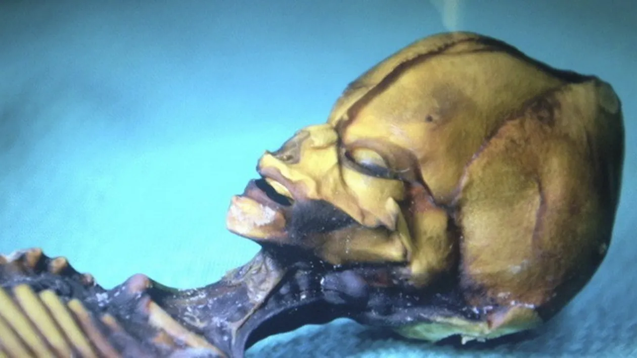 Aceasta creatura mumificata este un om. Are 15 centimetri si a trait 8 ani. Cum este posibil: Manca, respira, avea metabolism