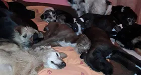 Galerie foto - poza 2