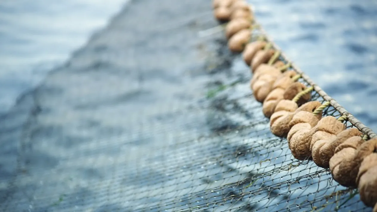 IREAL! A aruncat navodul si a asteptat o noapte. Cand l-a scos, era sa faca infarct. Nu am crezut ca o sa scap cu viata