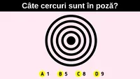 Test IQ | Numai geniile adevărate văd câte cercuri sunt în această poză, în doar 5 secunde!