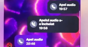 Galerie foto - poza 3