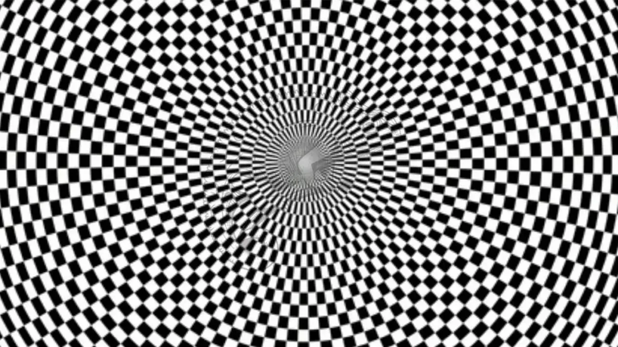 Iluzie optică virală | Exclusiv pentru genii: Ce animal se ascunde în această imagine?