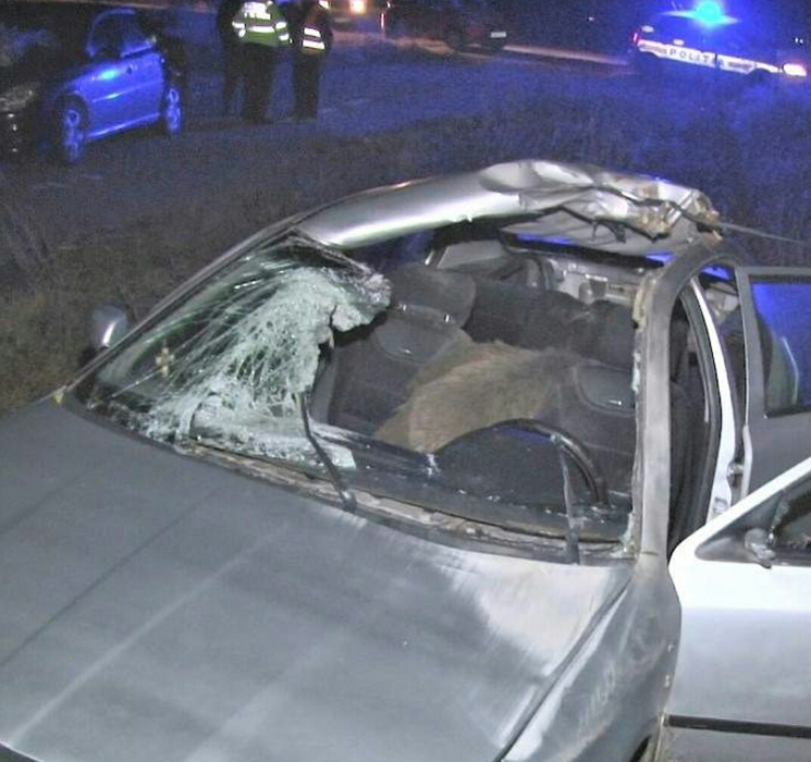 Grav accident în Dâmbovița. În urma impactului, un șofer s-a trezit cu un mistreț peste el