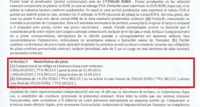 Galerie foto - poza 4