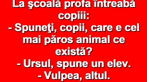 BANCUL ZILEI | Bulă, la școală: "Care e cel mai păros animal?"