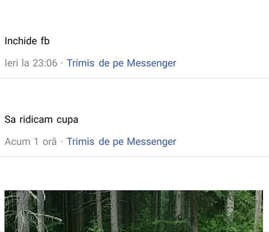 Convorbirile de pe Facebook dintre profesor şi eleva cu care ar avea o relatie de mai bine de doi ani