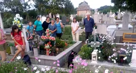 Galerie foto - poza 3