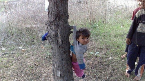 Vezi disperarea din ochii lui? Un puradel este agatat in pom de rudele mai mari si fac caterinca de el - Imaginea care te va enerva