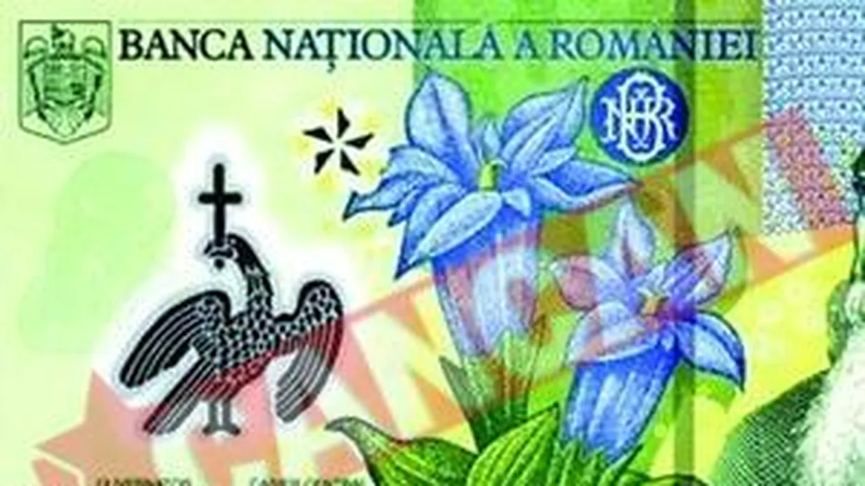 Credite in euro, economii in lei