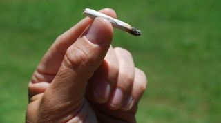 California ar putea deveni primul stat american care legalizeaza consumul si posesia de marijuana