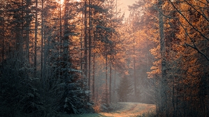 PROGNOZA METEO 8 DECEMBRIE: Vremea va fi în general frumoasă