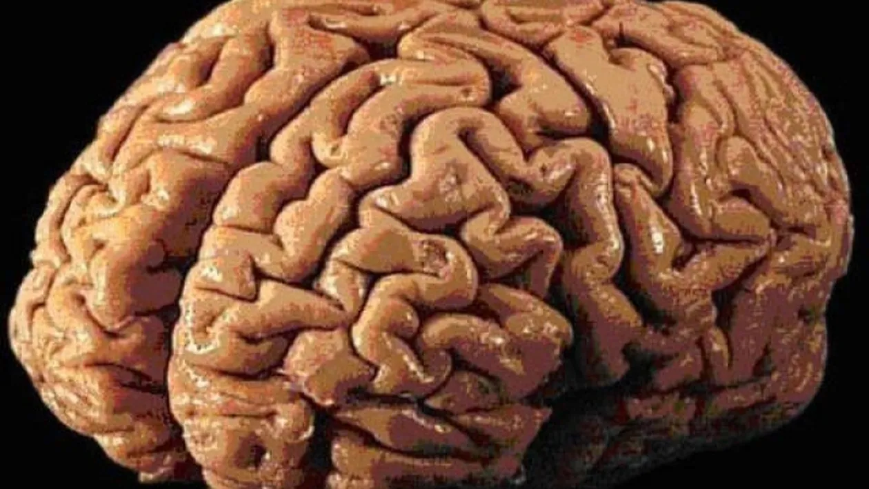 Incredibil! Un miliardar a plătit o sumă uriașă pentru a fi ucis! Care e ultima dorință