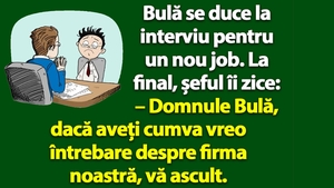 BANC | Bulă se duce la interviu pentru un nou job