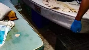 Caz șocant în Italia: o româncă era ținută în condiții inumane și muncea câte 19 ore. Femeia dormea pe lăzi de cartofi