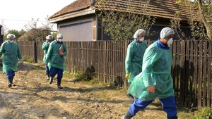 Înainte de Covid, România a avut gripa aviară. Prea multe întrebări au rămas fără răspuns