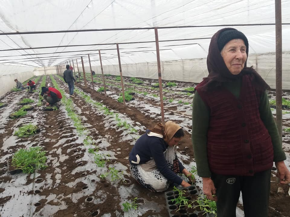 Tanti Elena muncește în solar de la 12 ani