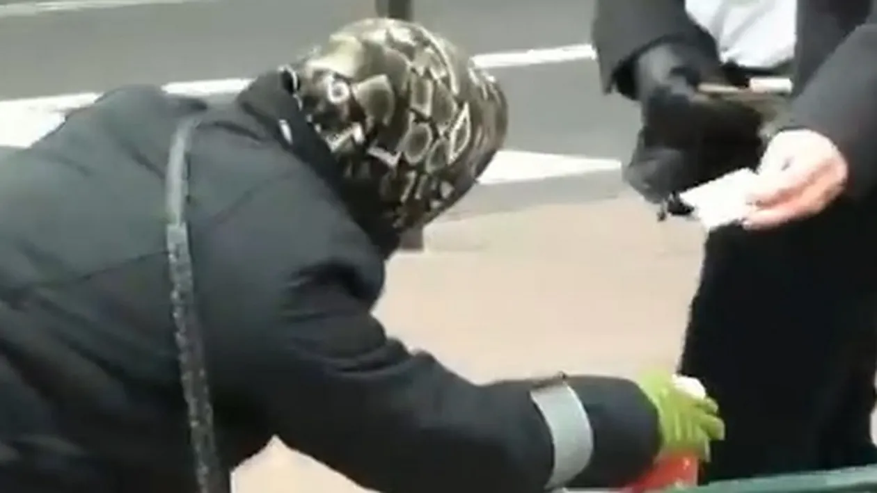 Si America are milogii ei! Ziua cerseste pe cele mai celebre bulevarde din lume, noaptea se distreaza ca un VIP!