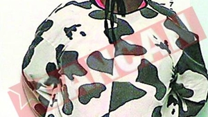 S-a dus vaca la proces
