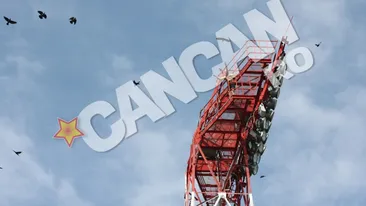 Un barbat din Pitesti s-a urcat pe un stalp si ameninta ca se omoara! Politistii s-au dus dupa el!