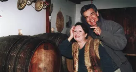 Galerie foto - poza 2