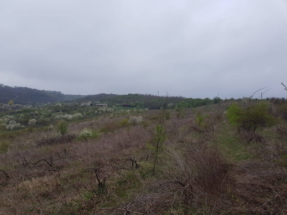 Locul unde a fost găsit cadavrul