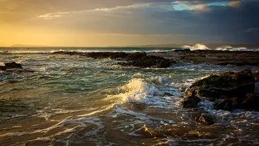 Ce este Vibrio, bacteria care a contaminat Marea Neagră? Risc uriaș de infectare