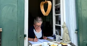 Galerie foto - poza 4