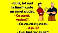 BANC | Bulă, tot aud la tine în curte un sunet ciudat