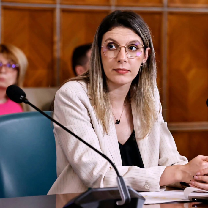 Ce a făcut Diana Buzoianu cu pisica devenită populară. Ce decizie a luat după ce s-a schimbat Guvernul