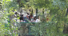 Galerie foto - poza 1