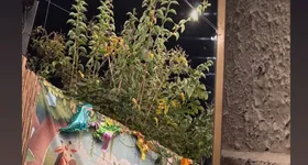 Galerie foto - poza 4