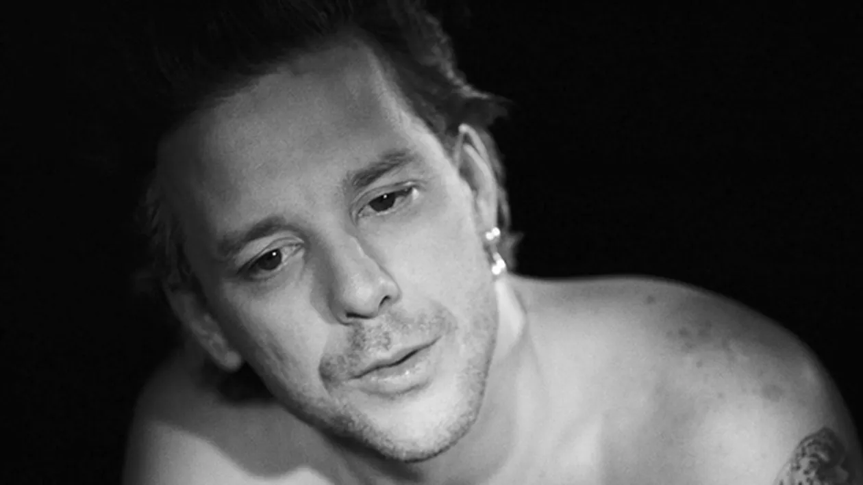 Ce a putut să facă un star de la Hollywood pentru maidanezii din CAPITALĂ! Gestul lui a impresionat o lume întreagă