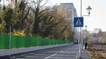 O femeie a devenit virală pe internet, după ce a depus plângere că n-a primit prioritate la o trece de pietoni. Ce i-au răspuns polițiștii