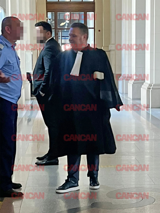Constantin Nedelcu, făcut zob de Oana Zăvoranu chiar în timpul procesului
