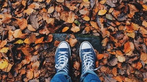 Horoscop zilnic 22 octombrie 2021. Leii dau cărțile pe față
