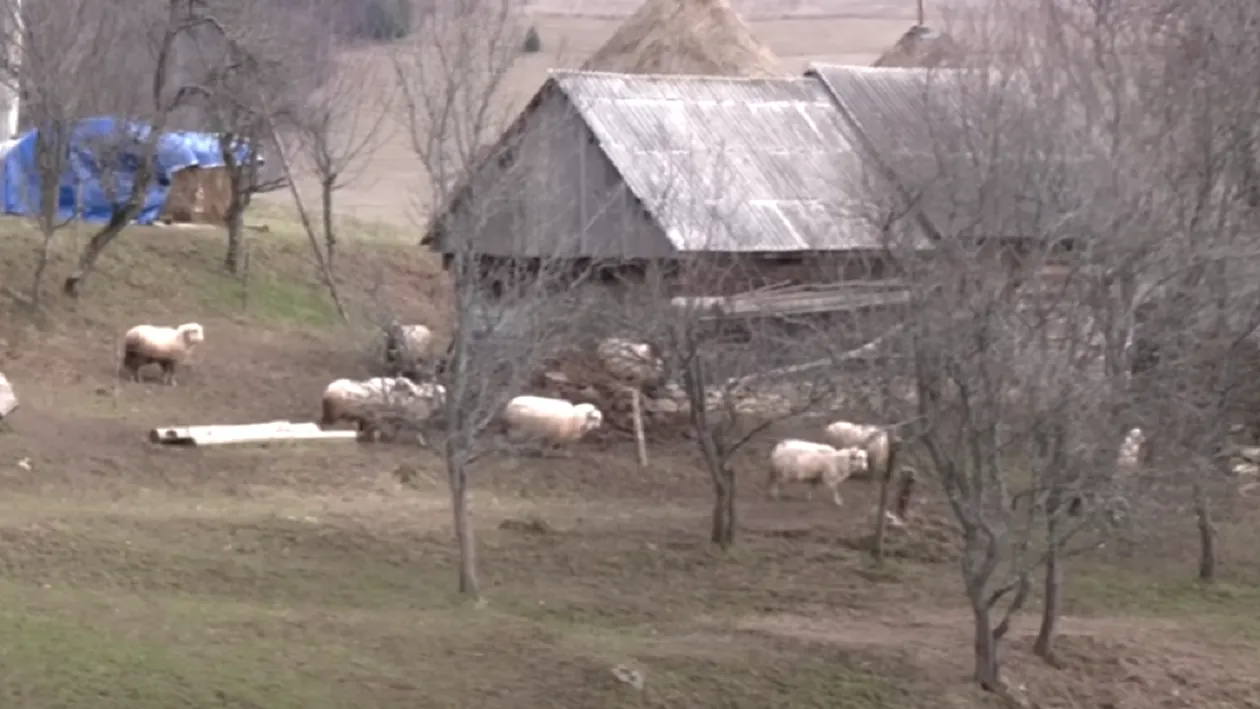 Localitatea din România care este în pragul dispariției! Doar 7 oameni mai locuiesc aici: ”Ne mănâncă sălbăticiunile”