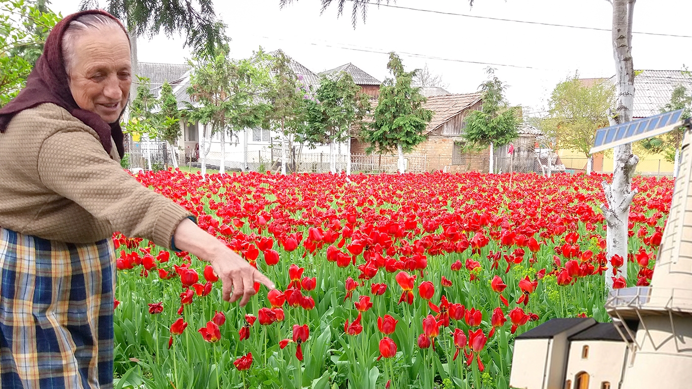 Casa ei a devenit loc de ”pelerinaj”! Ce a apărut în grădina unei maramureșence