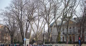 Galerie foto - poza 3